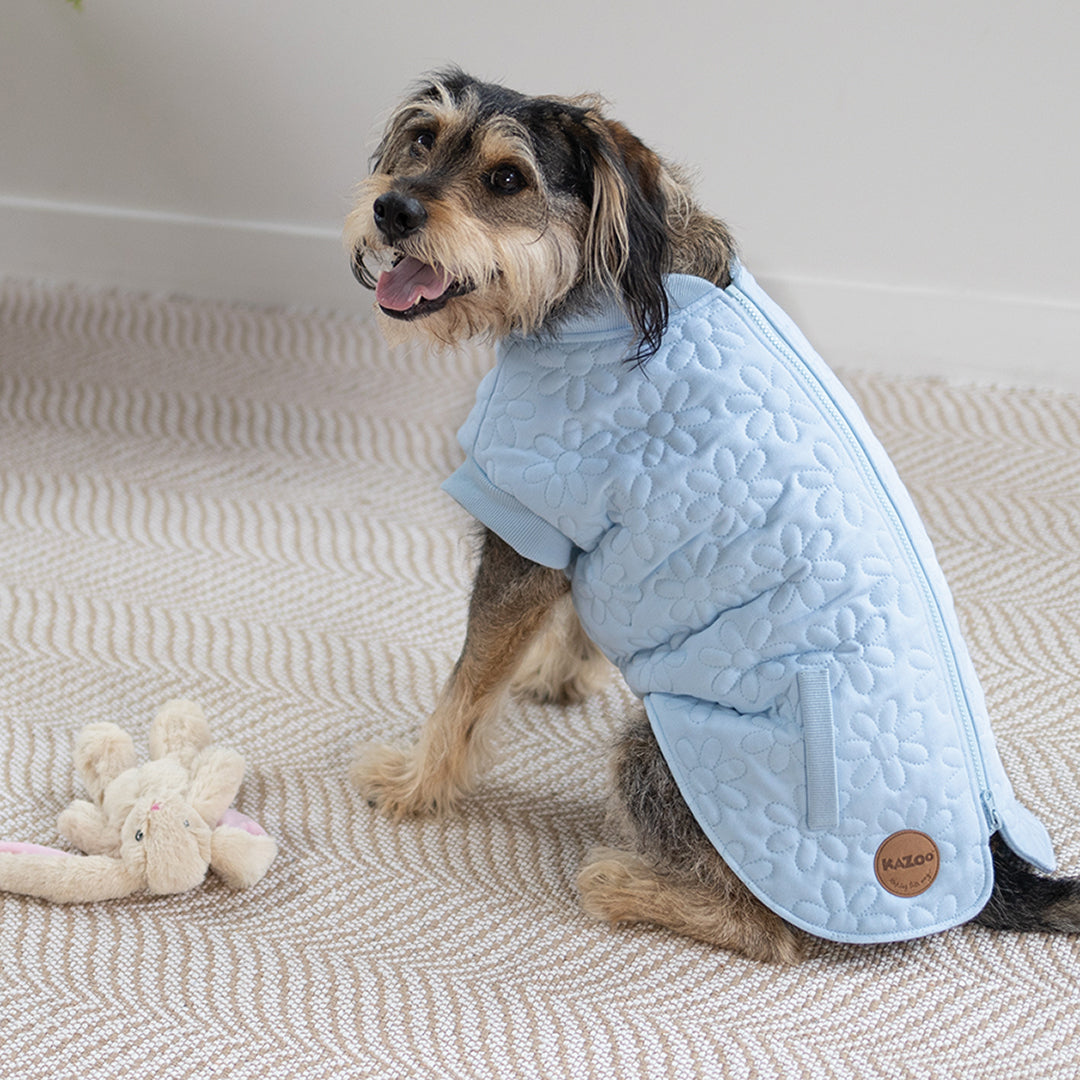 Flower Dog Jacket - Blue