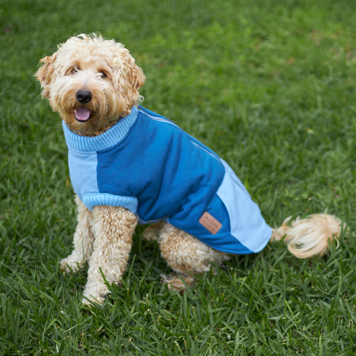 Kick Back Dog Jacket - Blue