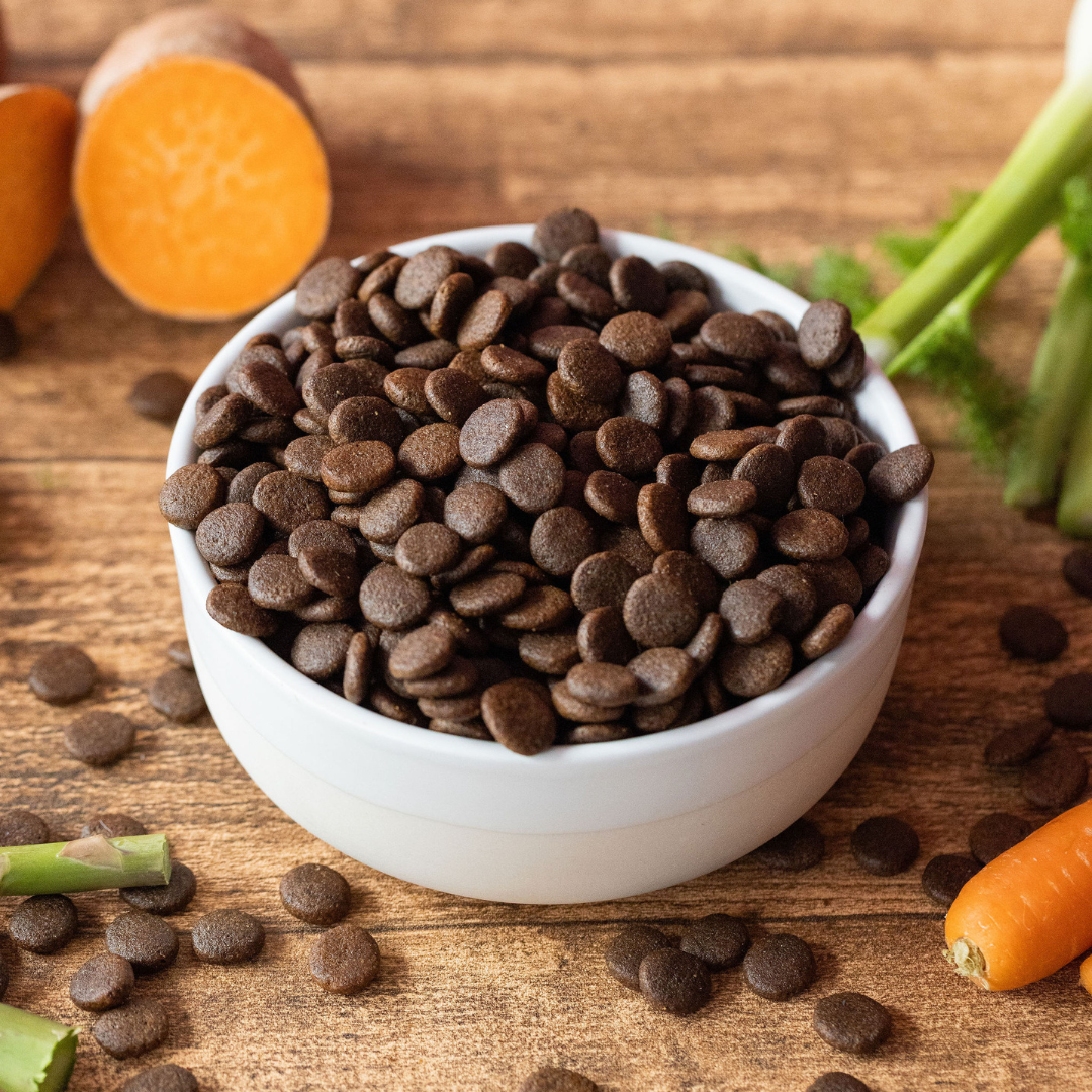 SayGrace Grain-Free Small Breed Tender Lamb Dry Dog Food