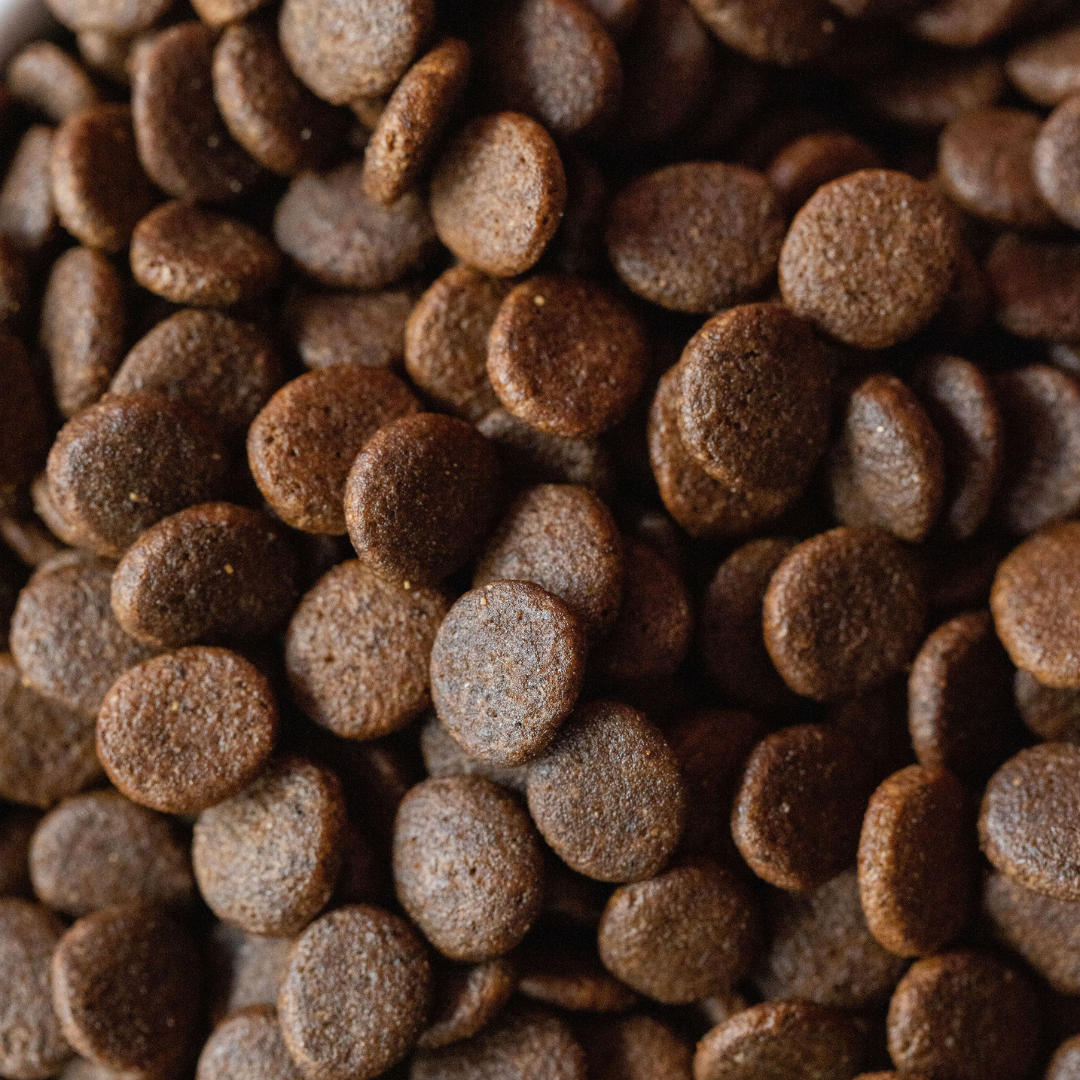 SayGrace Grain-Free Small Breed Tender Lamb Dry Dog Food
