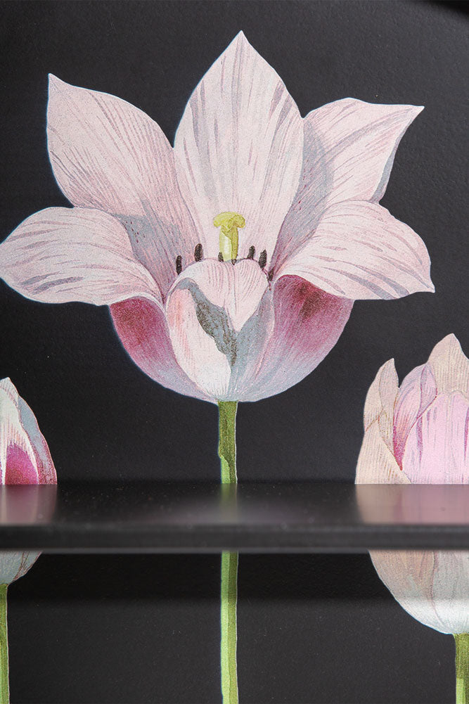 Floral & Black Metal Display Shelves